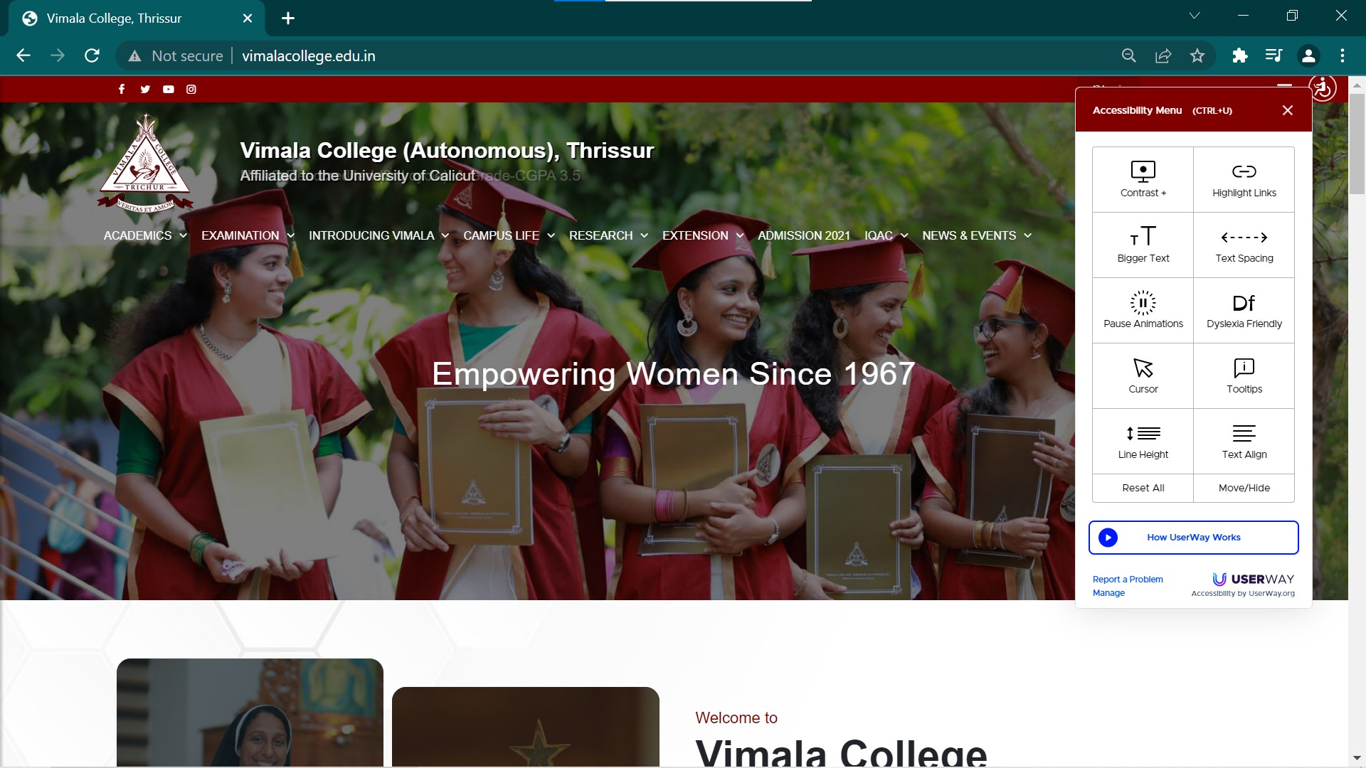 Screenshots of accessible College website